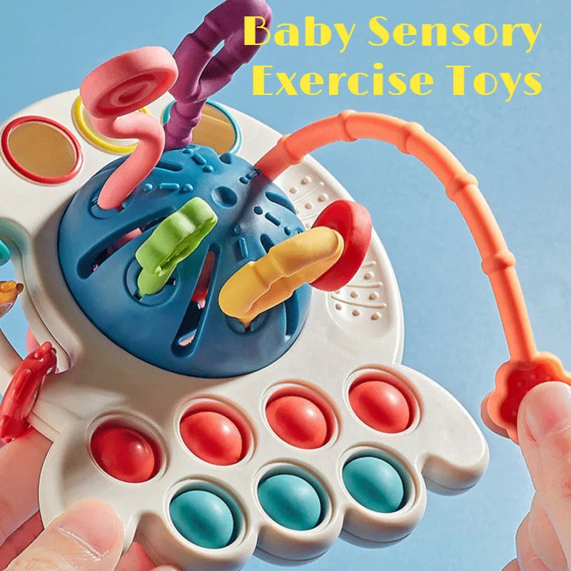 Baby Sensory Development Toy